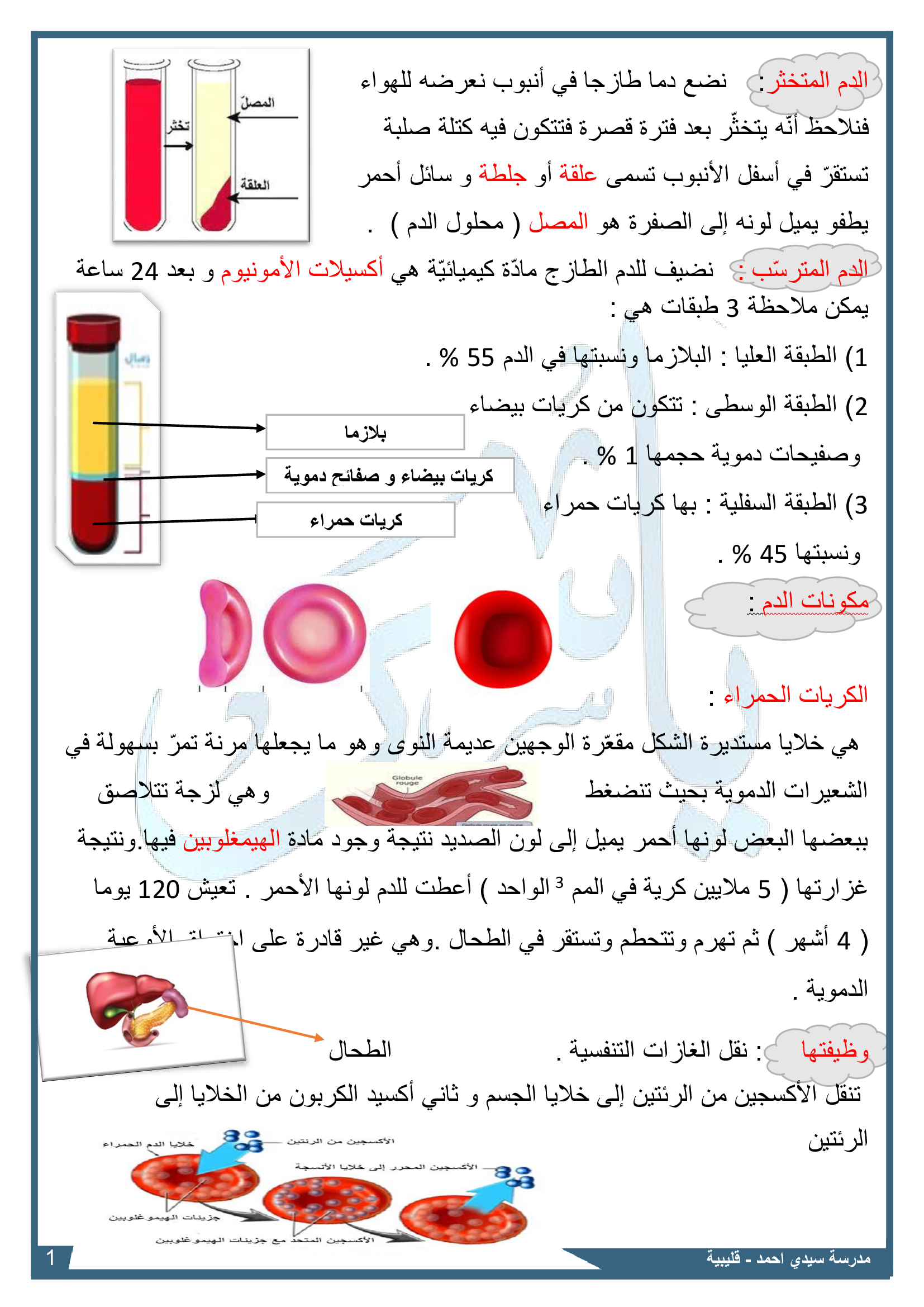 مكونات الدم Image